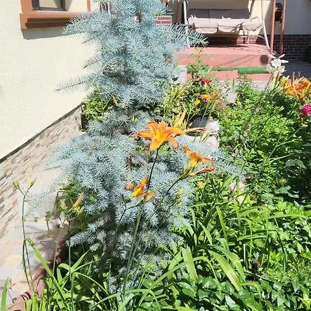 Casa Kogalniceanu Constanţa