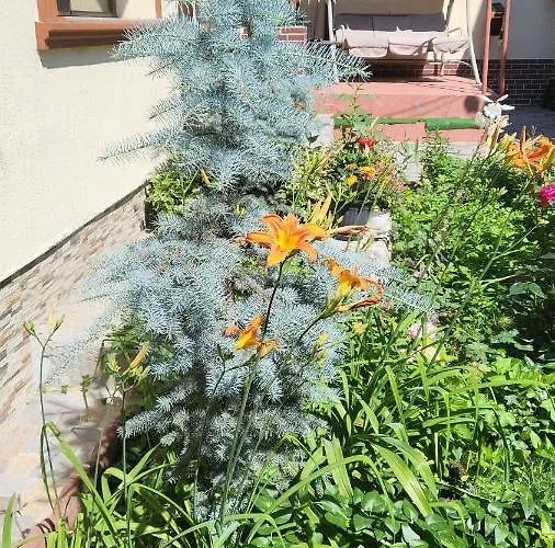 Casa Kogalniceanu Constanţa